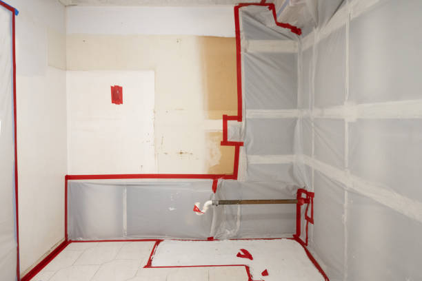 Professional Mold Inspection, Removal & Remediation in Phoenix, OR